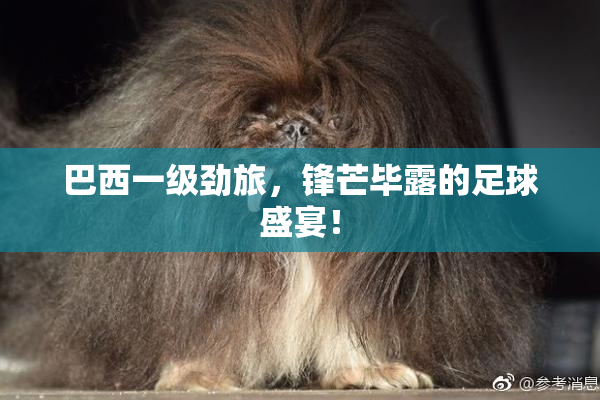 巴西一级劲旅，锋芒毕露的足球盛宴！