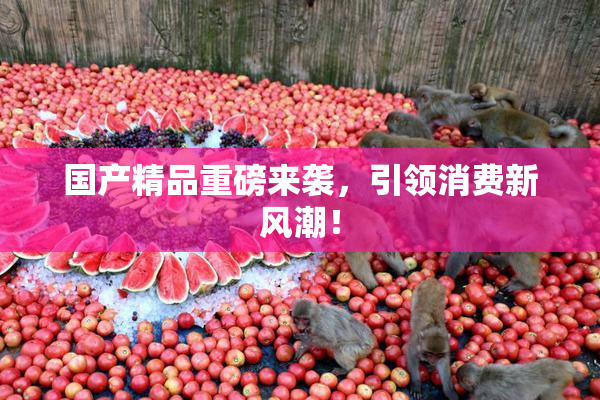 国产精品重磅来袭，引领消费新风潮！