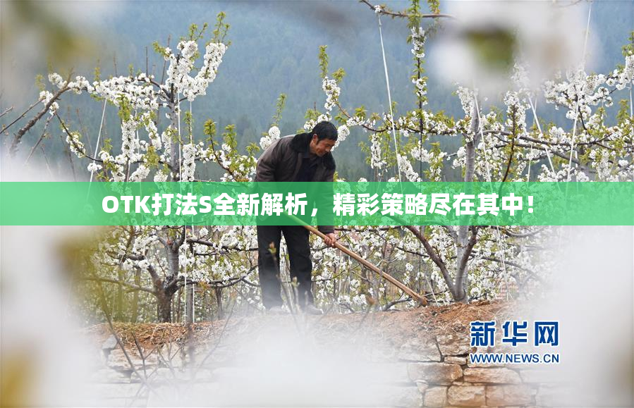 OTK打法S全新解析，精彩策略尽在其中！