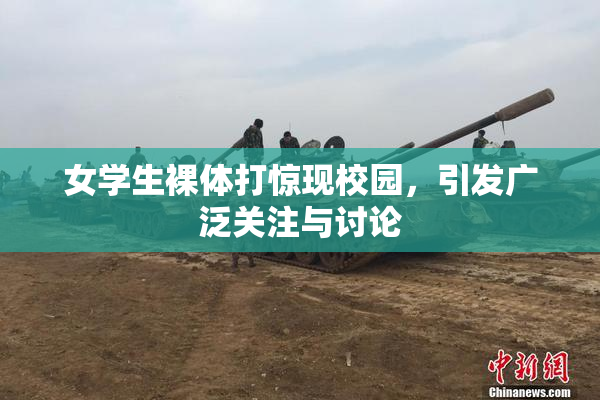 女学生裸体打惊现校园，引发广泛关注与讨论