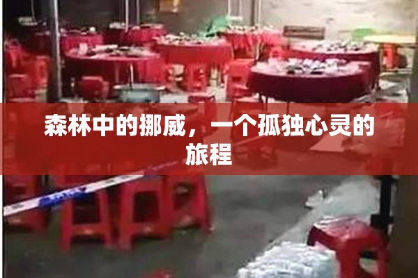 森林中的挪威，一个孤独心灵的旅程