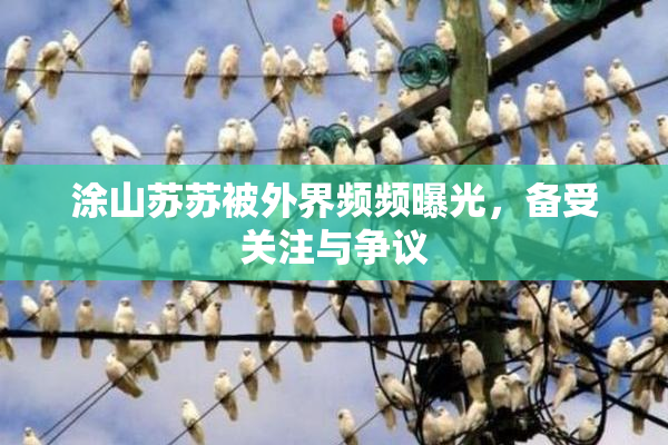 涂山苏苏被外界频频曝光，备受关注与争议