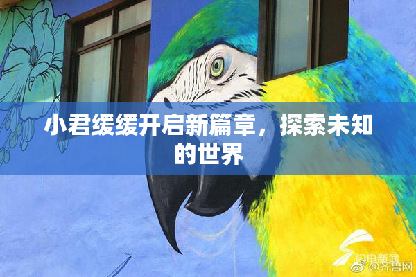 小君缓缓开启新篇章，探索未知的世界