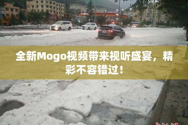全新Mogo视频带来视听盛宴，精彩不容错过！