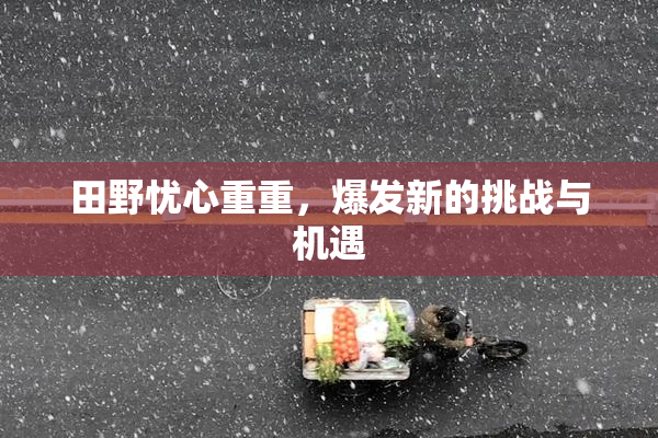 田野忧心重重，爆发新的挑战与机遇