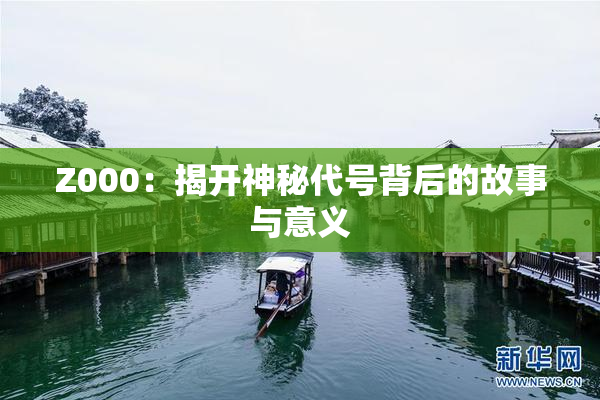 Z000：揭开神秘代号背后的故事与意义