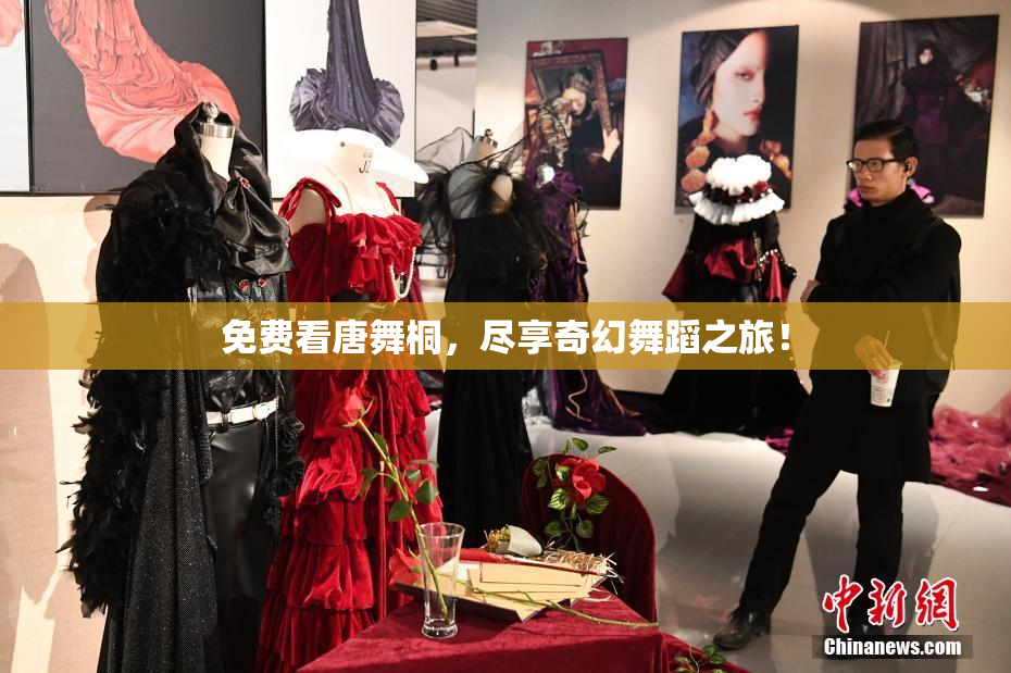 免费看唐舞桐，尽享奇幻舞蹈之旅！