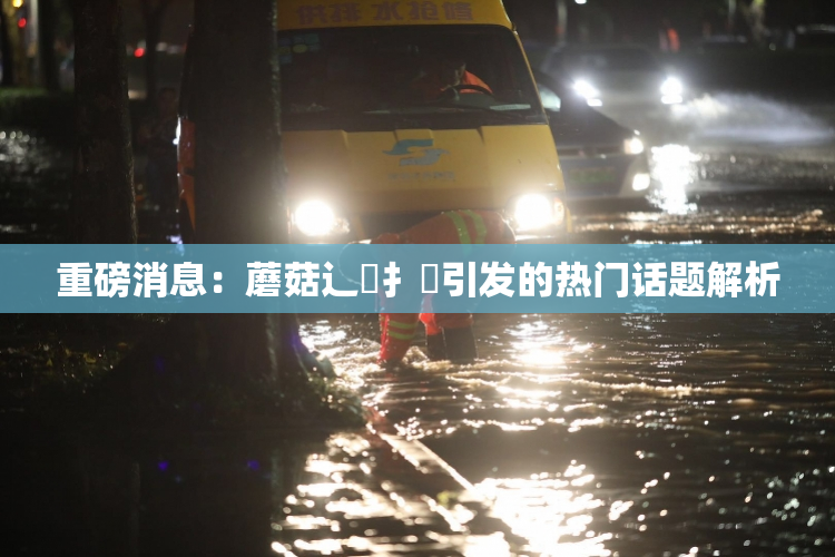 重磅消息：蘑菇辶喿扌畐引发的热门话题解析