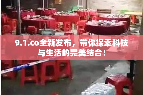 9.1.co全新发布，带你探索科技与生活的完美结合！