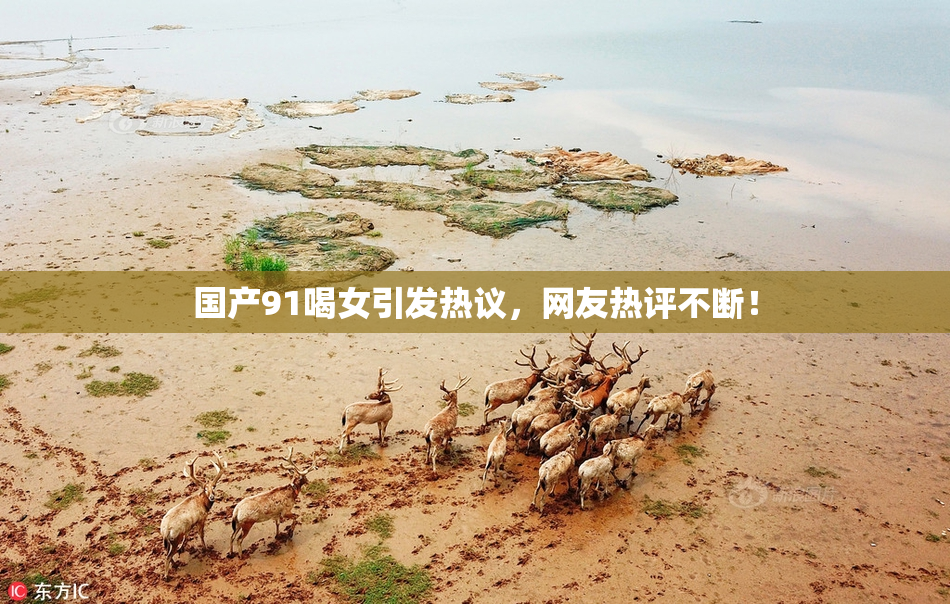 国产91喝女引发热议，网友热评不断！