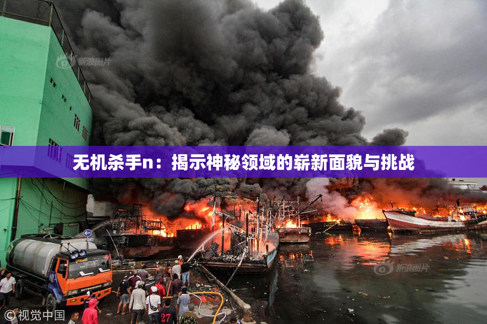 无机杀手n：揭示神秘领域的崭新面貌与挑战