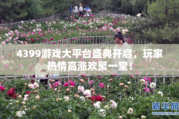 4399游戏大平台盛典开启，玩家热情高涨欢聚一堂！