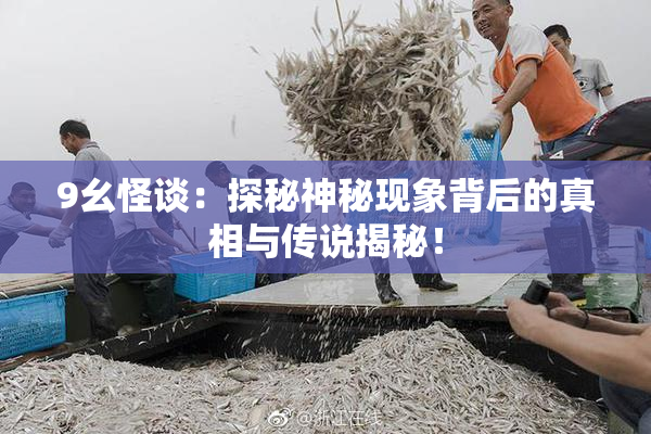 9幺怪谈：探秘神秘现象背后的真相与传说揭秘！