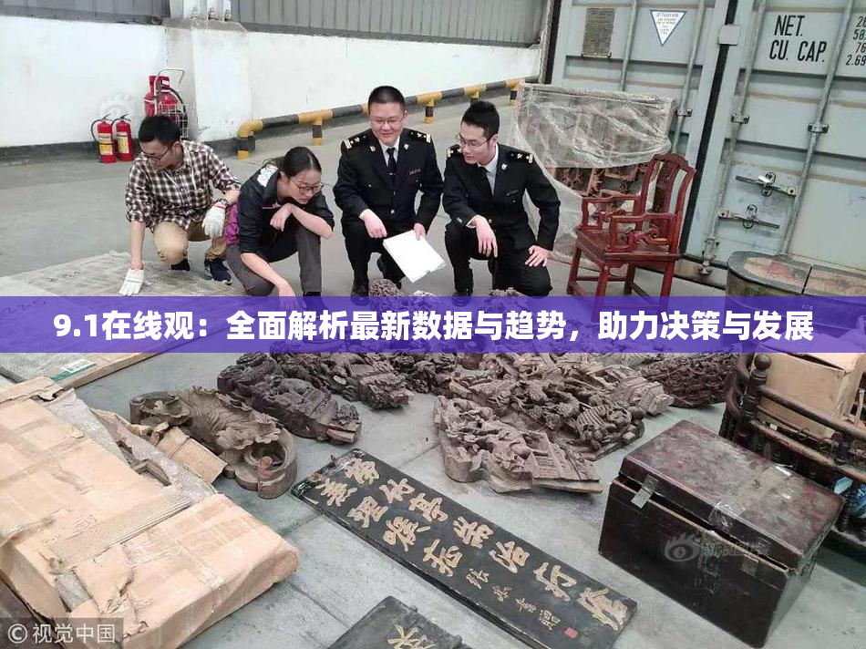 9.1在线观：全面解析最新数据与趋势，助力决策与发展