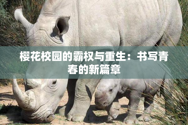 樱花校园的霸权与重生：书写青春的新篇章