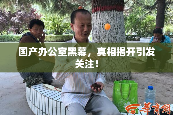 国产办公室黑幕，真相揭开引发关注！