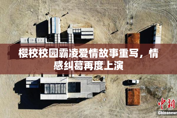 樱校校园霸凌爱情故事重写，情感纠葛再度上演