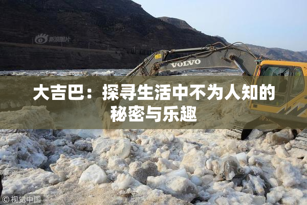 大吉巴：探寻生活中不为人知的秘密与乐趣