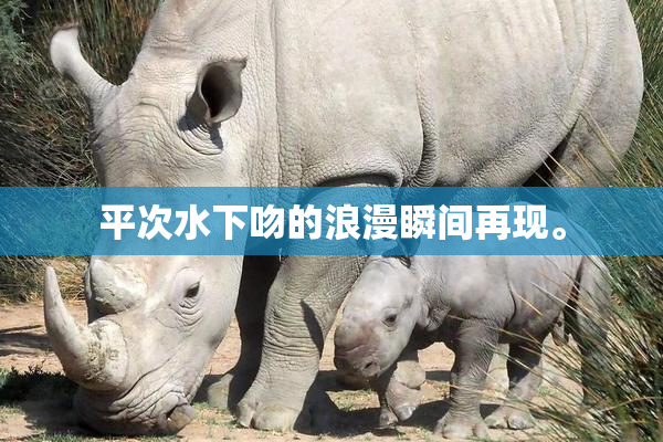 平次水下吻的浪漫瞬间再现。
