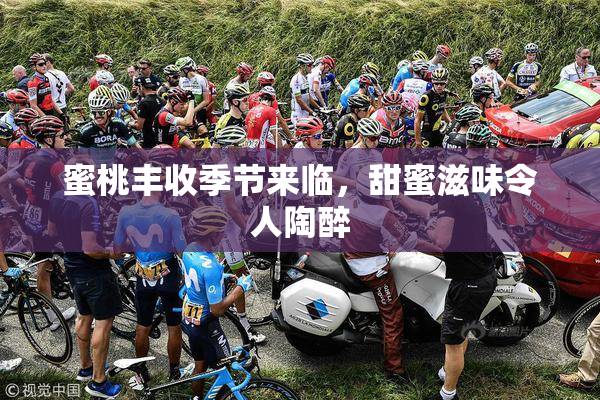 蜜桃丰收季节来临，甜蜜滋味令人陶醉