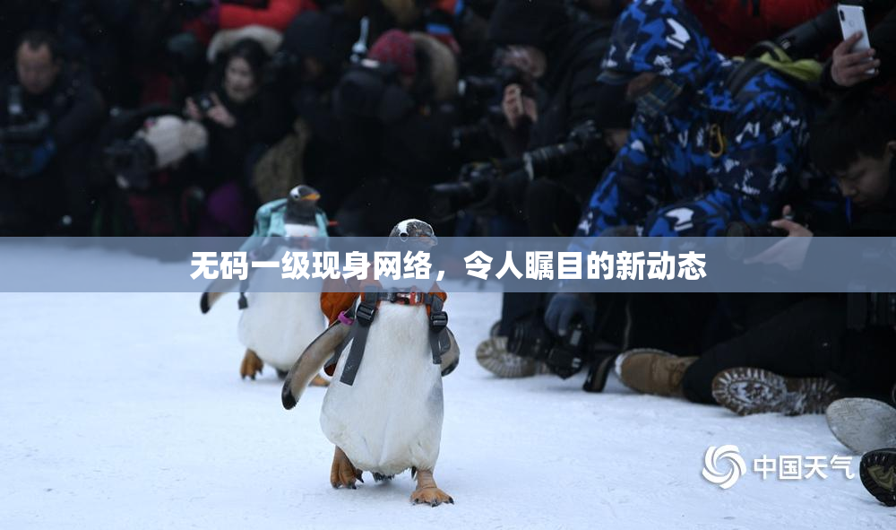无码一级现身网络，令人瞩目的新动态