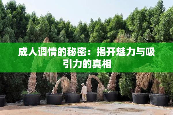 成人调情的秘密：揭开魅力与吸引力的真相