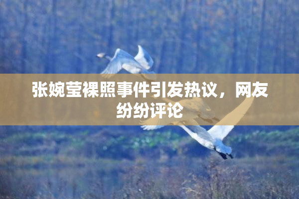 张婉莹裸照事件引发热议，网友纷纷评论