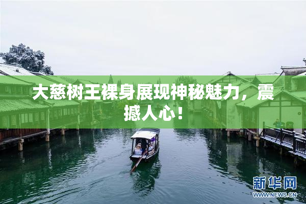 大慈树王裸身展现神秘魅力，震撼人心！