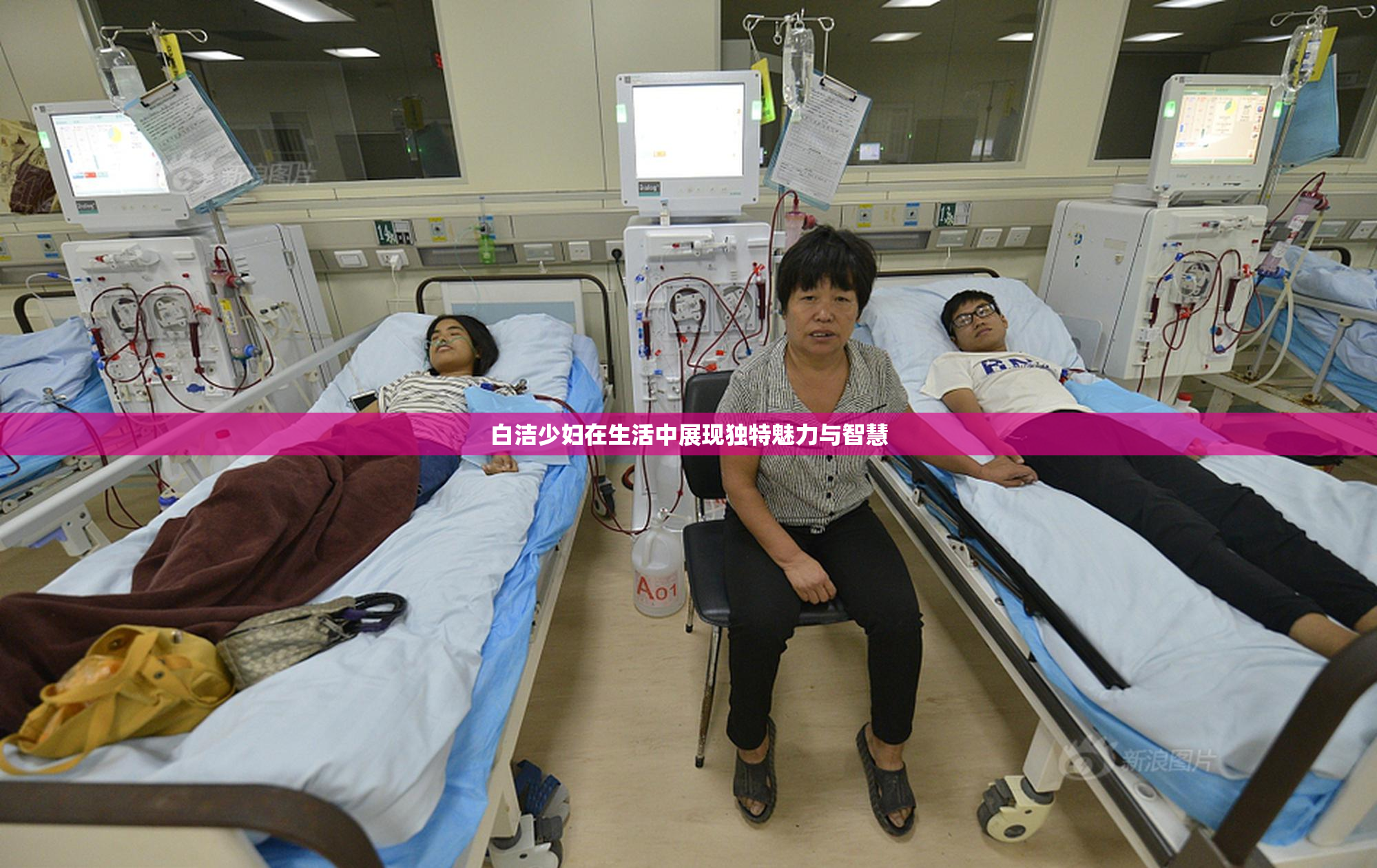 白洁少妇在生活中展现独特魅力与智慧