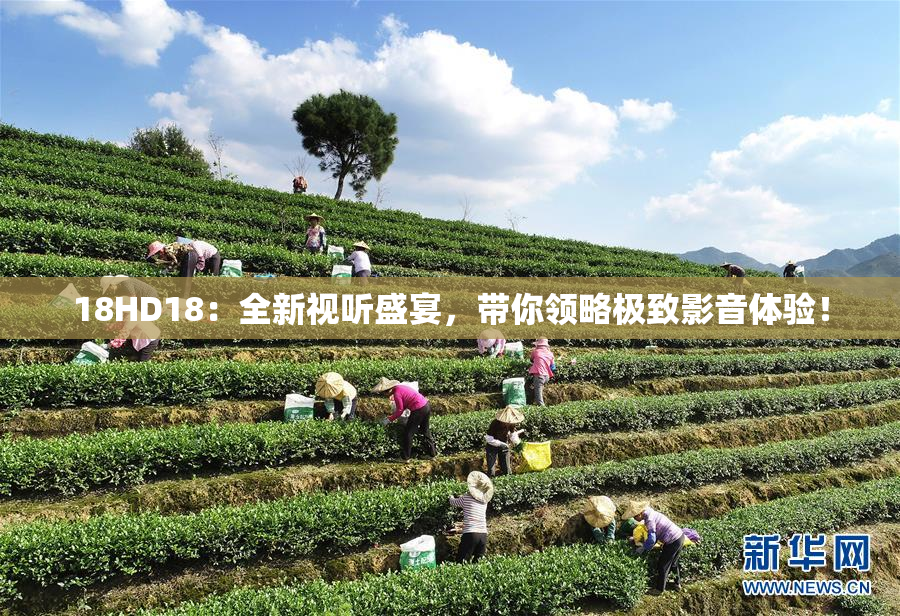 18HD18：全新视听盛宴，带你领略极致影音体验！