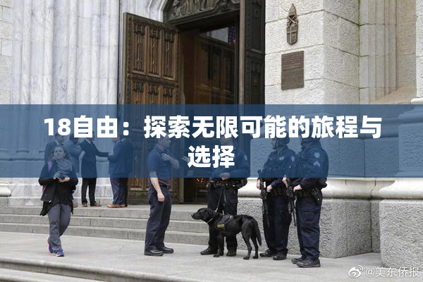 18自由：探索无限可能的旅程与选择