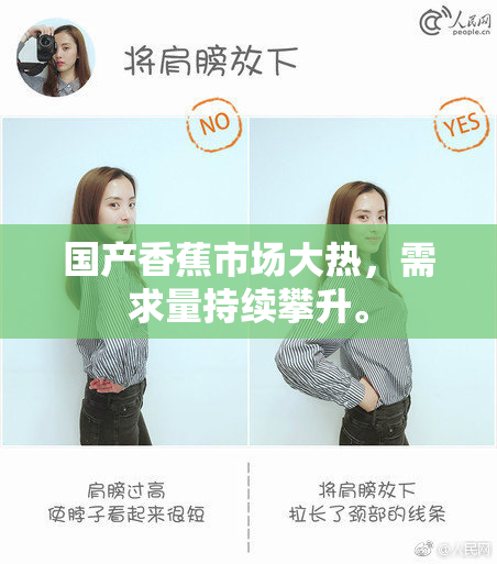 国产香蕉市场大热，需求量持续攀升。