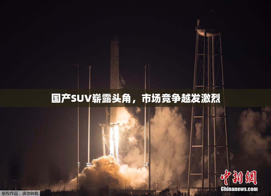 国产SUV崭露头角，市场竞争越发激烈