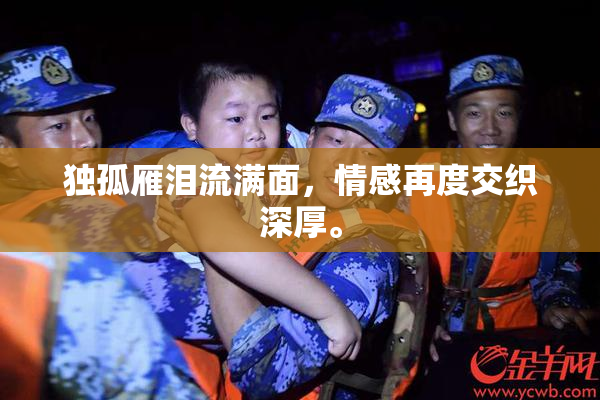 独孤雁泪流满面，情感再度交织深厚。