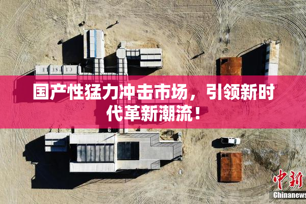 国产性猛力冲击市场，引领新时代革新潮流！