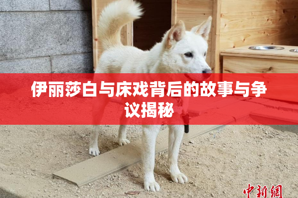 伊丽莎白与床戏背后的故事与争议揭秘