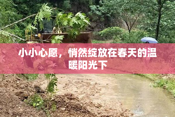 小小心愿，悄然绽放在春天的温暖阳光下
