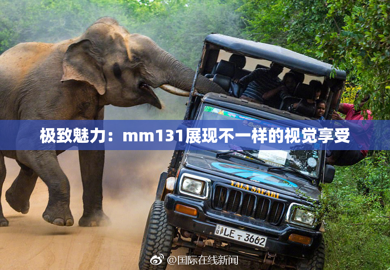极致魅力：mm131展现不一样的视觉享受