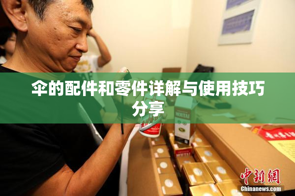伞的配件和零件详解与使用技巧分享