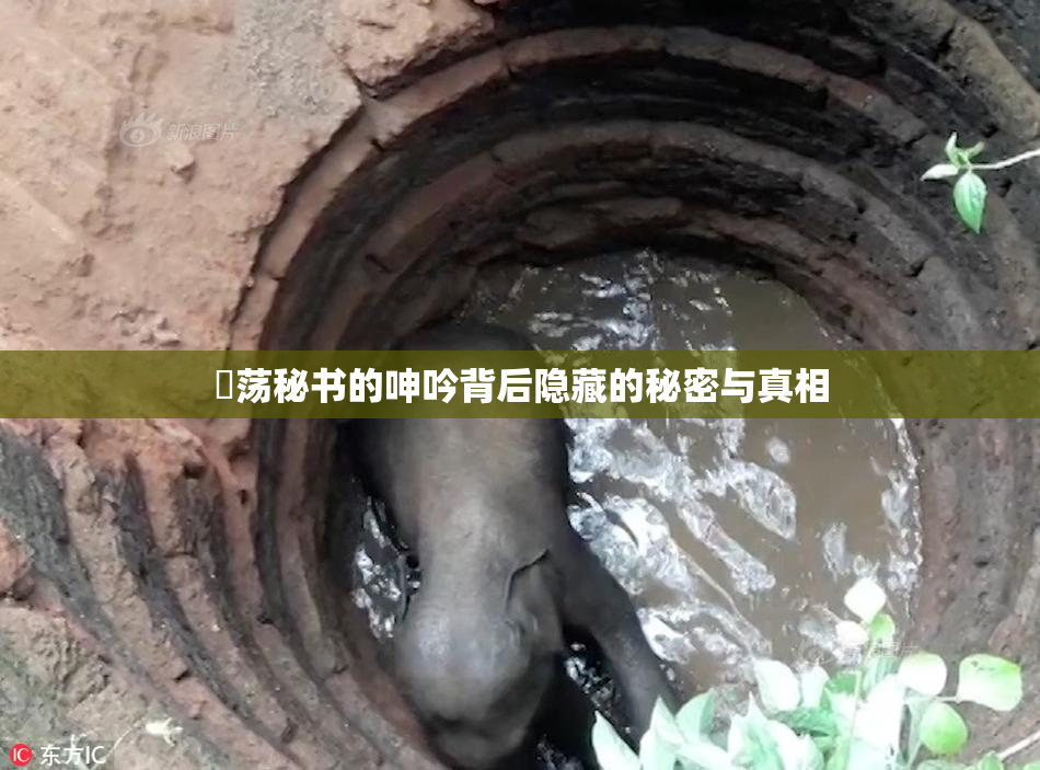 婬荡秘书的呻吟背后隐藏的秘密与真相