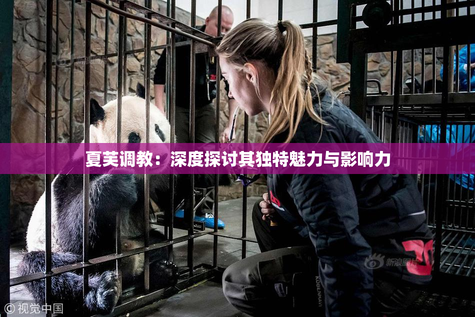 夏芙调教：深度探讨其独特魅力与影响力