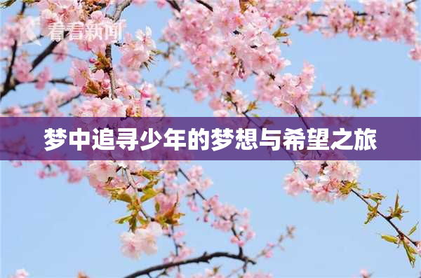 梦中追寻少年的梦想与希望之旅