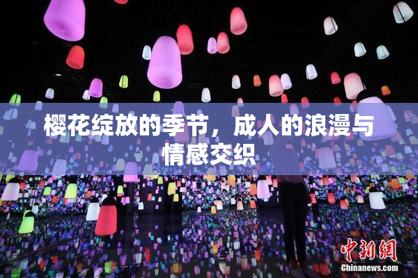 樱花绽放的季节，成人的浪漫与情感交织