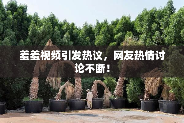羞羞视频引发热议，网友热情讨论不断！