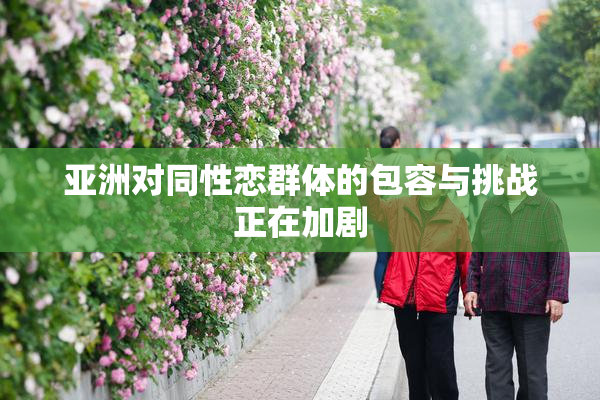 亚洲对同性恋群体的包容与挑战正在加剧