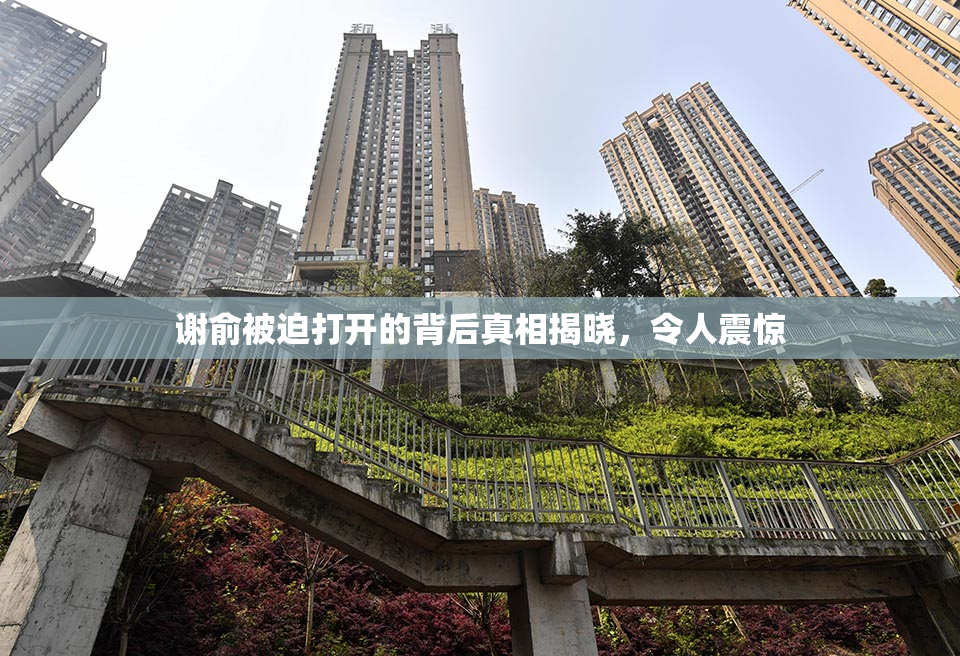 谢俞被迫打开的背后真相揭晓，令人震惊