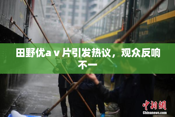 田野优aⅴ片引发热议，观众反响不一