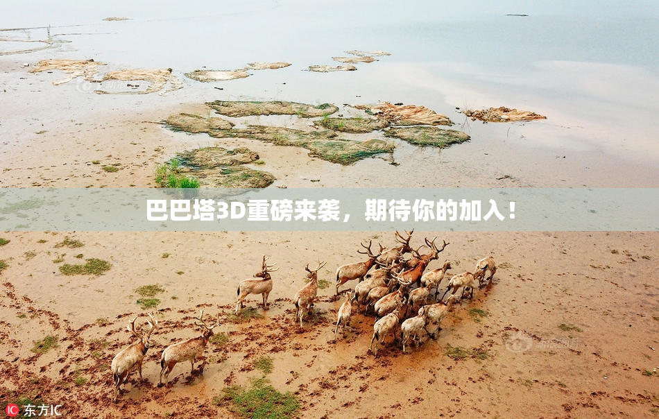 巴巴塔3D重磅来袭，期待你的加入！