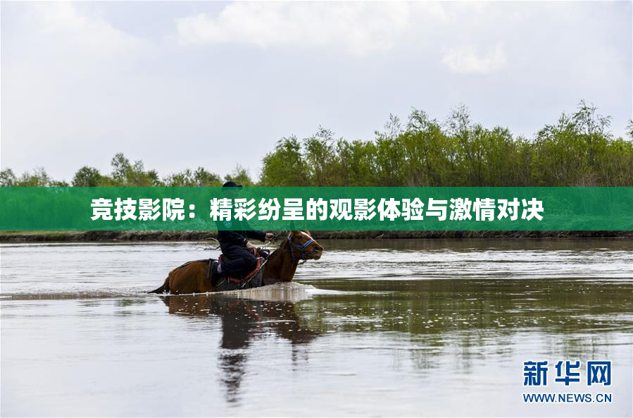 竞技影院：精彩纷呈的观影体验与激情对决