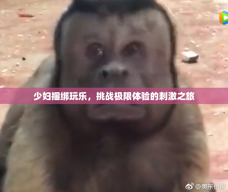 少妇捆绑玩乐，挑战极限体验的刺激之旅